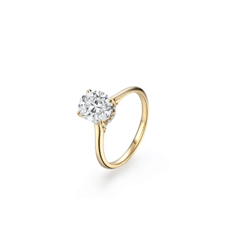 Close-Up: Ring (Vorher)